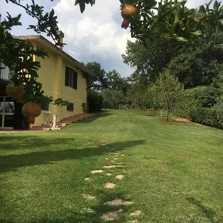 Poggio In Fiore