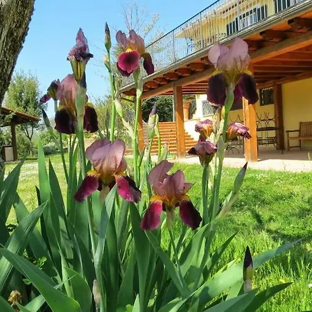 Poggio In Fiore Poggio Catino