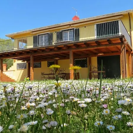 Poggio In Fiore