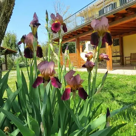 Poggio In Fiore *