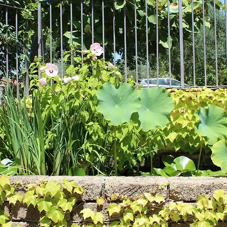 Poggio In Fiore